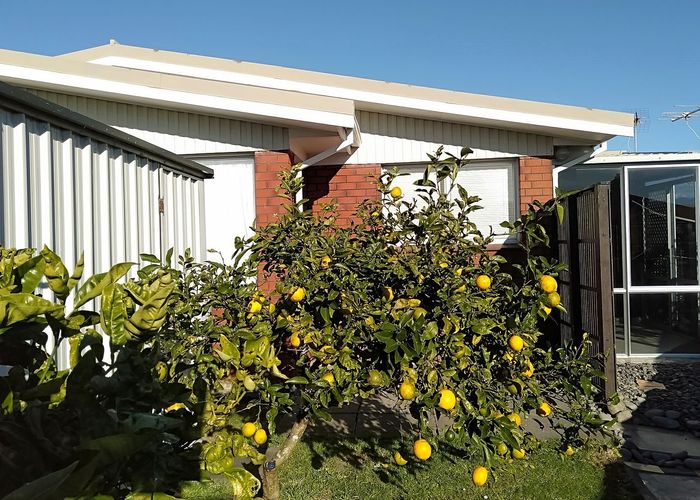  at 5 Evelyn Place, Welbourn, New Plymouth, Taranaki