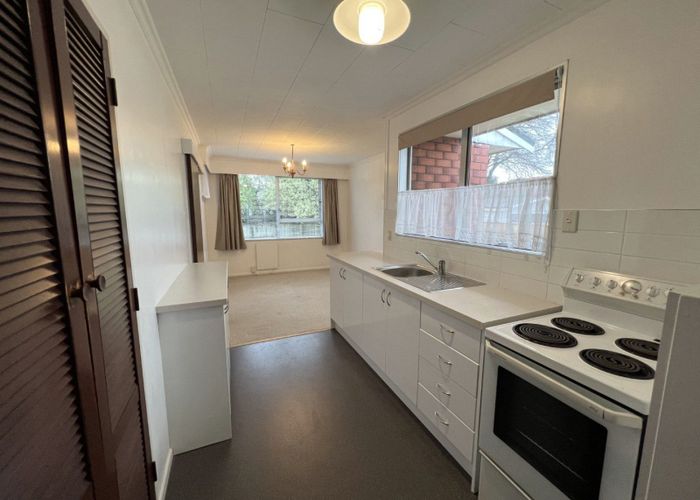  at 319 Albert Street, Hokowhitu, Palmerston North, Manawatu / Whanganui