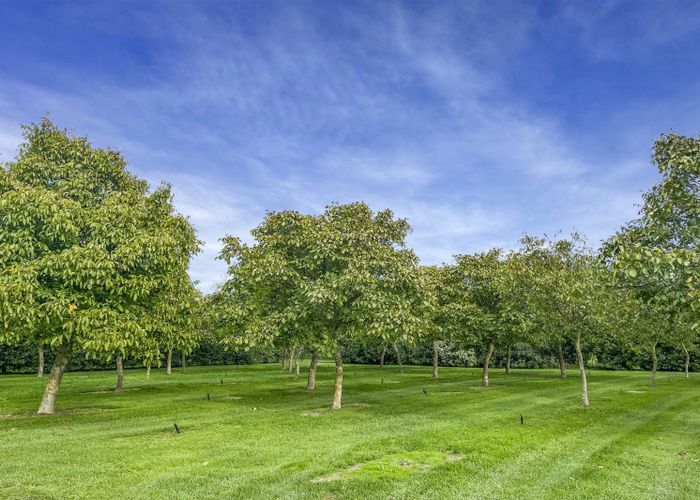  at 129 Station Road, Kirwee, Selwyn, Canterbury