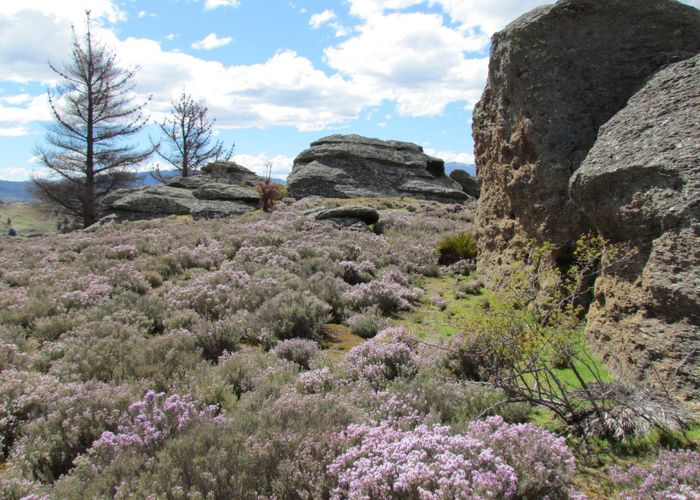  at 0 Tor Hill Road, Conroys Gully, Alexandra