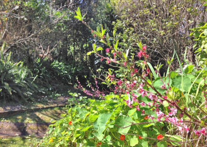  at 17 Albert Crescent, Ostend, Waiheke Island