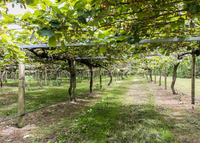  at 0 Railway Road, Rolleston, Rolleston