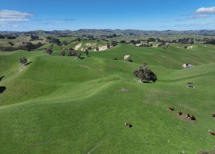  at 2829 Puketitiri Road, Patoka, Hastings, Hawke's Bay