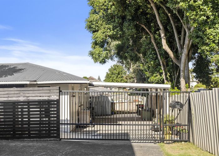  at 1134 Cameron Road, Gate Pa, Tauranga