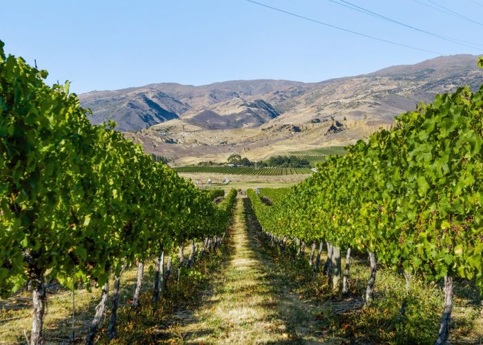  at 160 Pearson Road, Cromwell, Central Otago, Otago