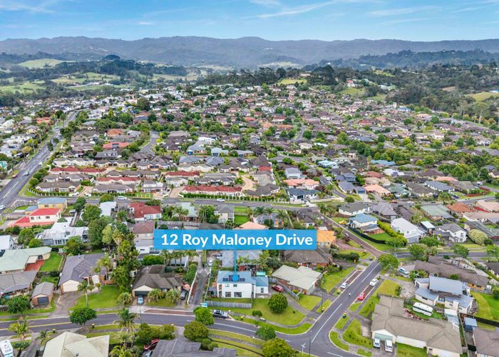  at 12 Roy Maloney Drive, Henderson, Waitakere City, Auckland
