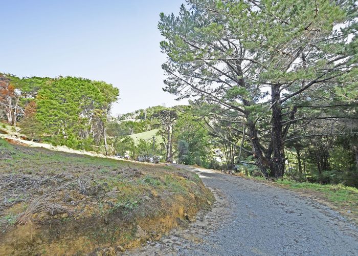  at 99 Birdsall Road, Whangateau