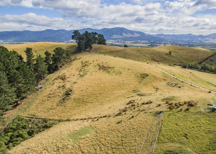 at 93 Campions Road, Cust, Cust