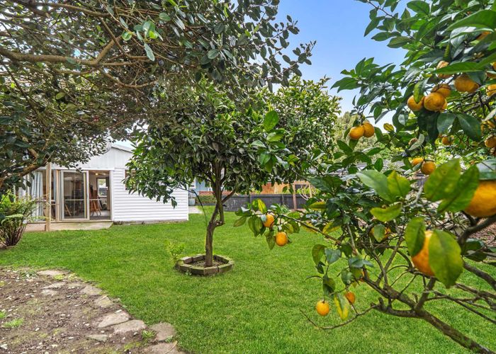  at 125 Holland Road, Fairfield, Hamilton, Waikato
