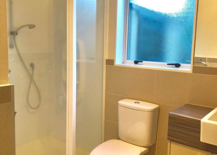  at 19 Woolaston Place, Flat Bush, Manukau City, Auckland