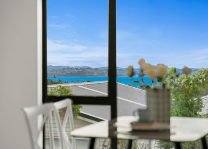  at 1, 2 & 3/69 Balmain Road, Birkenhead, North Shore City, Auckland