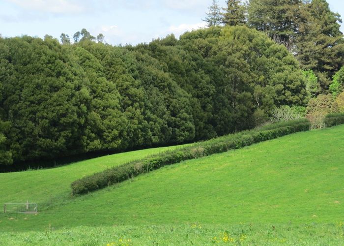  at 58 Ryburn Road, Ohaupo, Waipa, Waikato