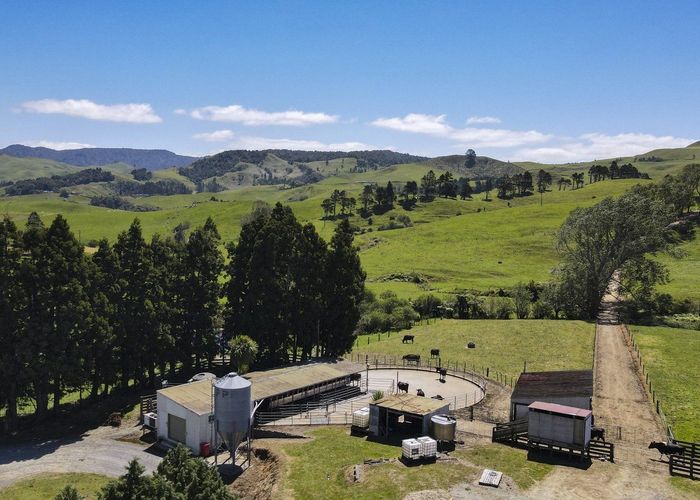 For sale 729 Waihi Whangamata Road, Waihi, Hauraki, Waikato homes.co.nz