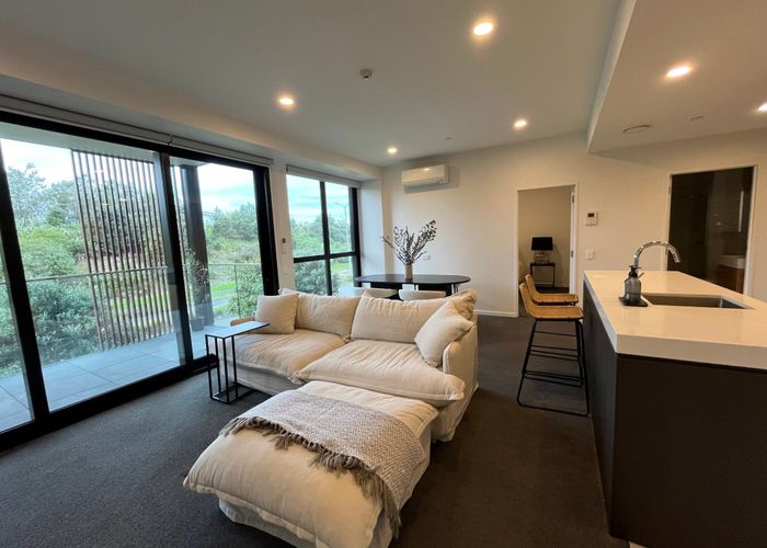  at 102/189 College Road, Stonefields, Auckland City, Auckland