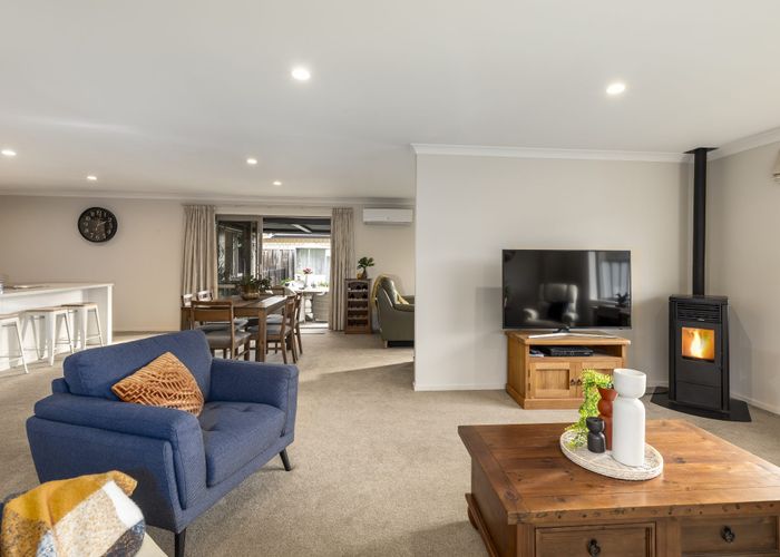  at 7 Payne Place, Wither Hills, Blenheim