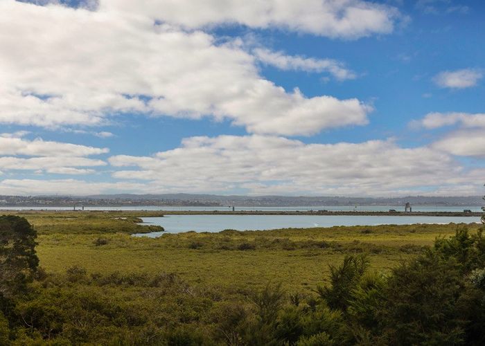  at 39 Saltaire Street, Avondale, Auckland City, Auckland