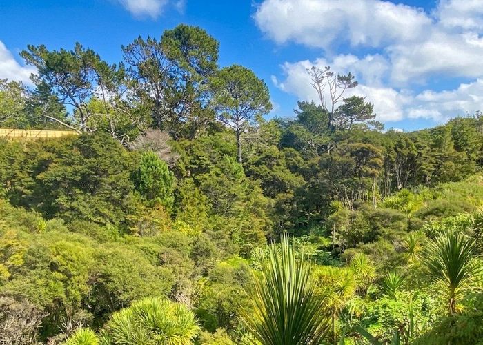  at 13 Stubbs Place, Fairview Heights, North Shore City, Auckland