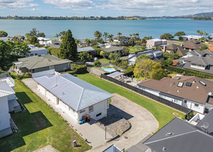  at 49 Harvey Street, Avenues, Tauranga, Bay Of Plenty