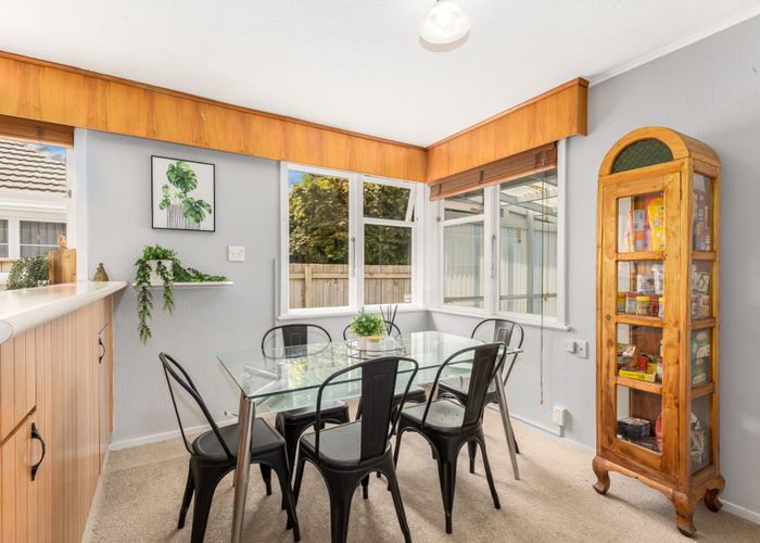  at 13 Mccurdy Street, Elderslea, Upper Hutt