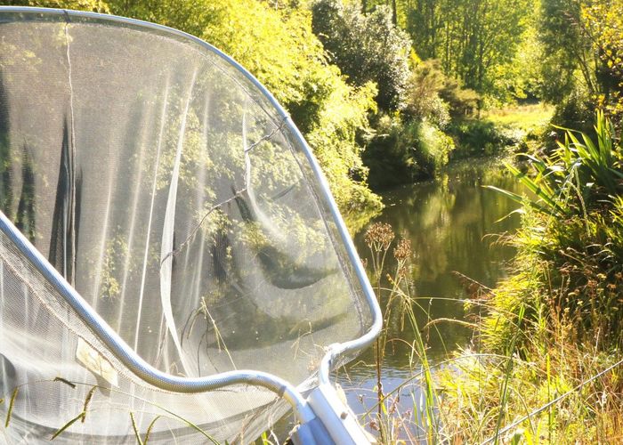  at 2232b Waihi-Whangamata Road Road, Whiritoa, Hauraki, Waikato