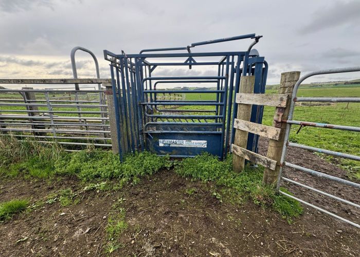  at 289 Woodslea Downs Road, Wyndham, Southland, Southland