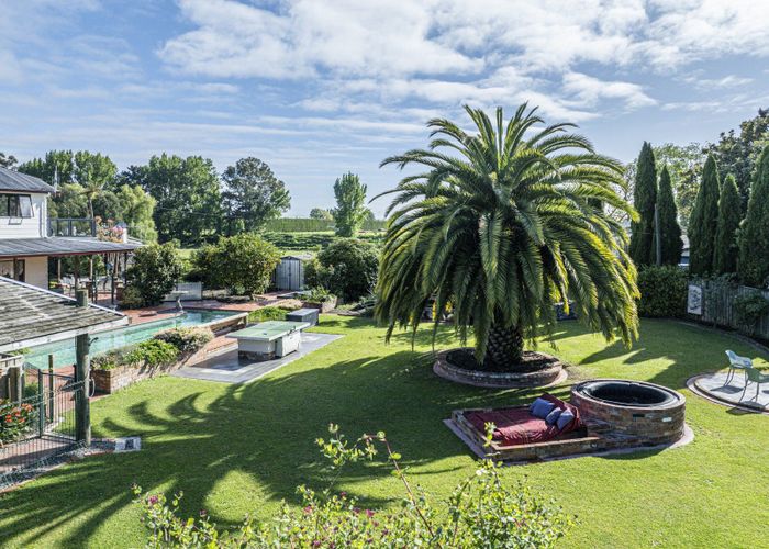  at 74 Longlands Road East, Longlands, Hastings, Hawke's Bay