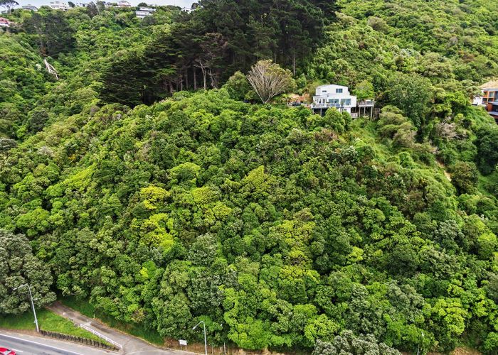  at 1A and 1B Rangiora Avenue, Kaiwharawhara, Wellington, Wellington