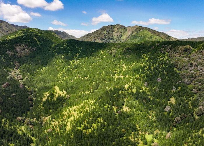  at 0 Pukehuia Road, Tangiteroria, Kaipara, Northland