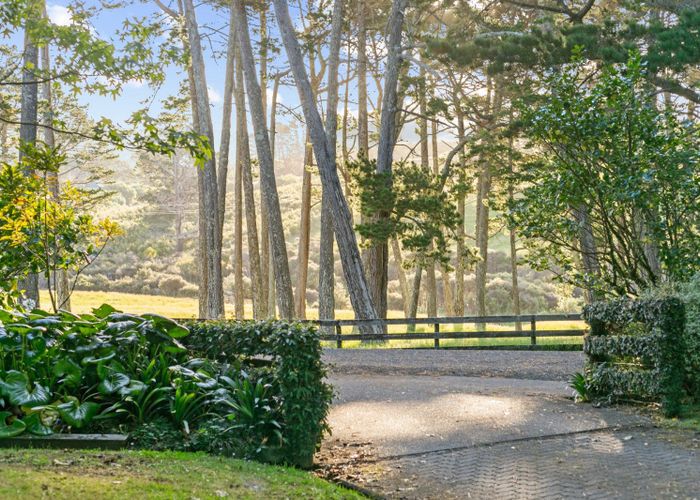  at 328 Horseshoe Bush Road, Dairy Flat, Rodney, Auckland