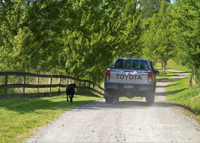  at 91B Gasson Lane, Pyes Pa, Tauranga, Bay Of Plenty