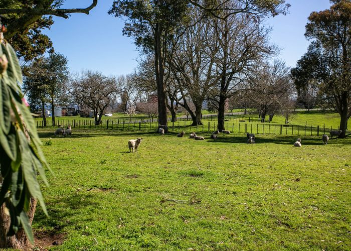  at 79 Bell Road, Ngahinapouri, Te Awamutu