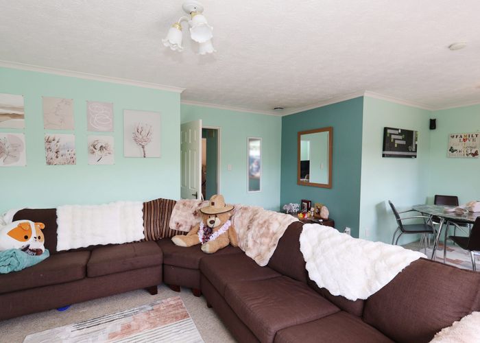  at 350 Ness Street, Appleby, Invercargill