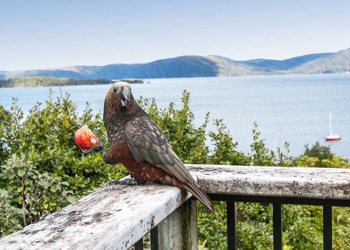  at 11 Rankin Street, Halfmoon Bay / Oban, Stewart Island
