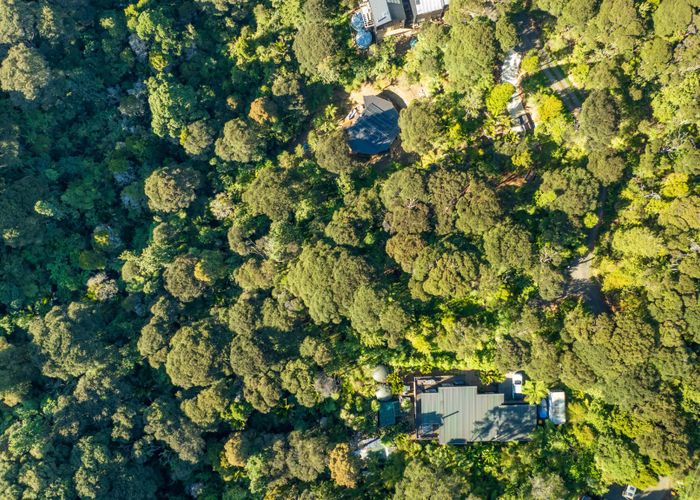  at 19 Hayes Road, Henderson Valley, Waitakere City, Auckland