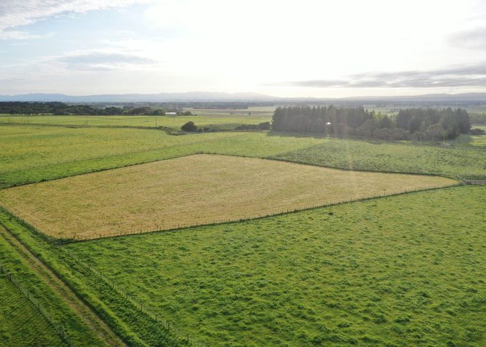  at 8 Gill Lane, Rongotea, Rongotea