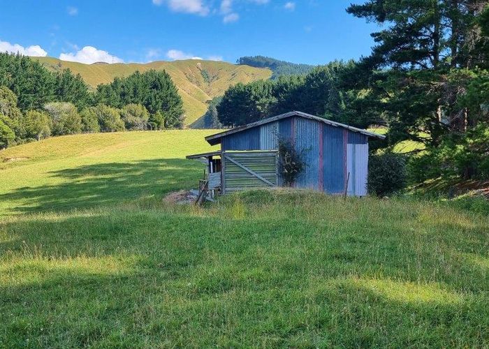  at 216 Potts Road, Koputaroa