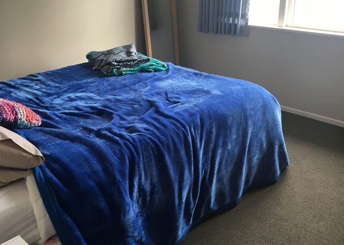  at 91 Aurora Terrace, Hillcrest, Hamilton