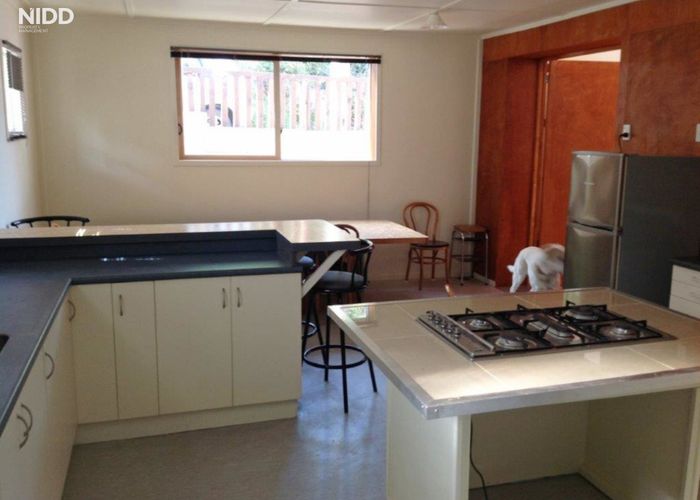  at 59 Selwyn Street, North East Valley, Dunedin, Otago