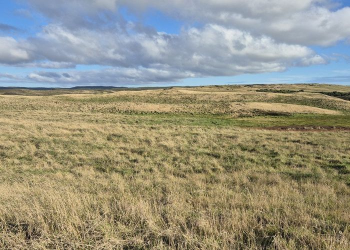  at Lot 1-3/546 Waitangi Tuku Road, Rongotai, Wellington, Wellington