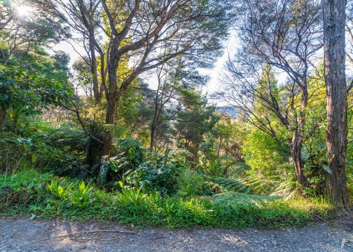  at 19 Hayes Road, Henderson Valley, Waitakere City, Auckland