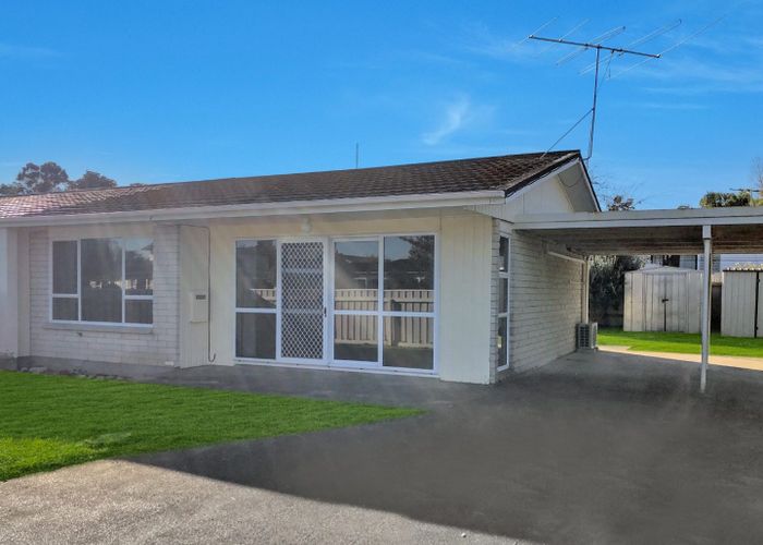  at 49 Oak Street, Mangapapa, Gisborne