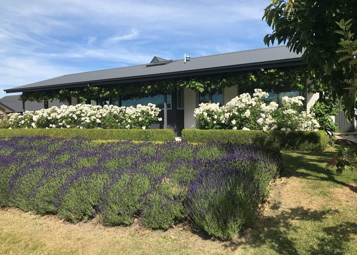 For rent 15 Willets Green, Wanaka, Wanaka, Otago homes.co.nz