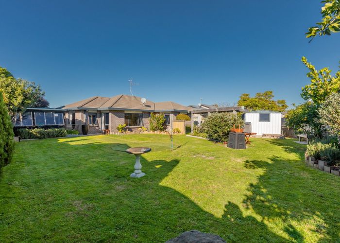  at 19 Katerini Grove, Papamoa, Tauranga, Bay Of Plenty