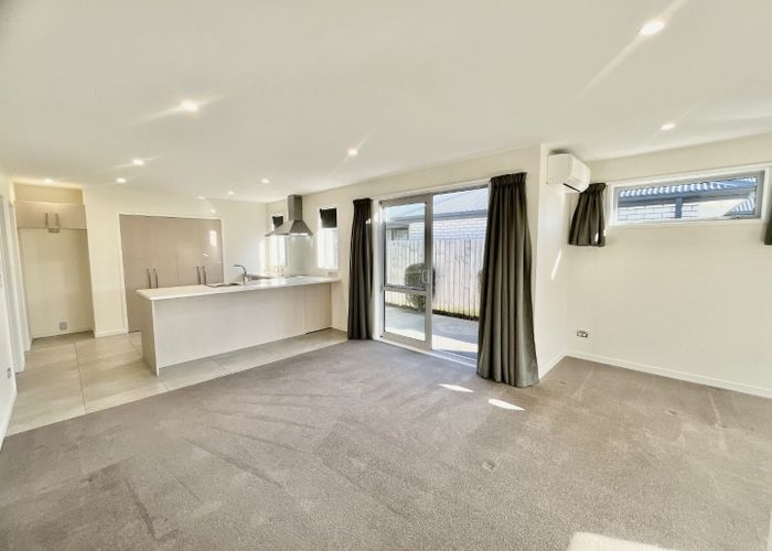  at 14 McLendon Green, Belfast, Christchurch City, Canterbury