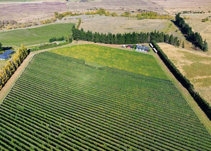  at 253 Mackenzies Road, Waipara, Hurunui, Canterbury
