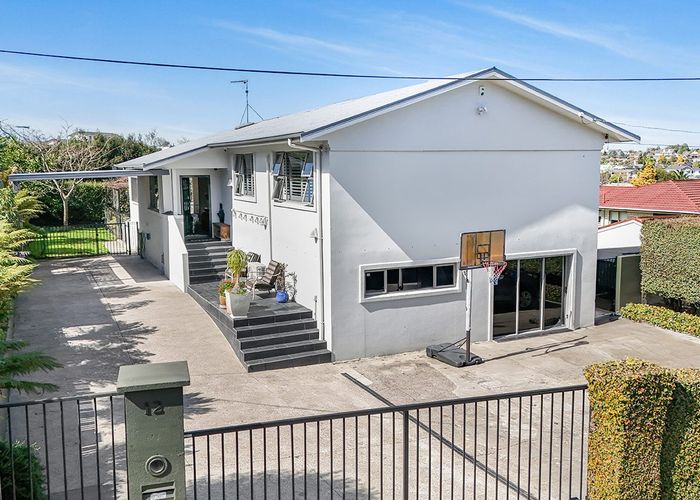  at 12 Newcastle Road, Dinsdale, Hamilton
