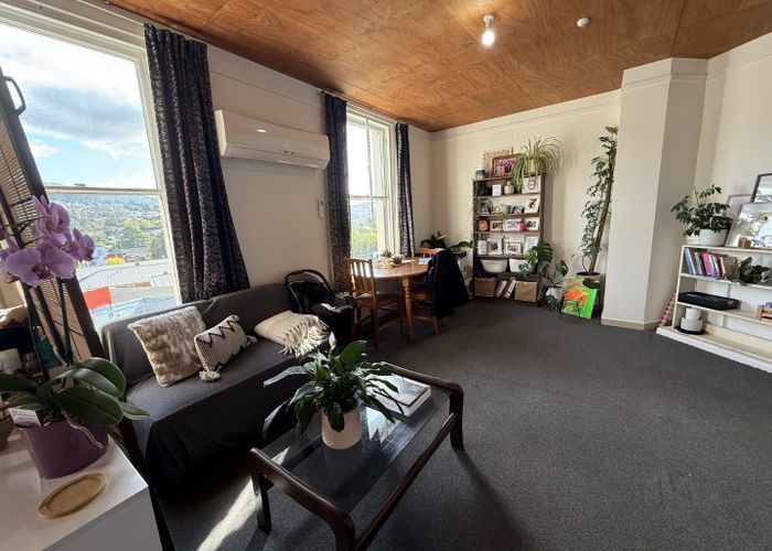  at 17A Hereford Street, Roslyn, Dunedin, Otago
