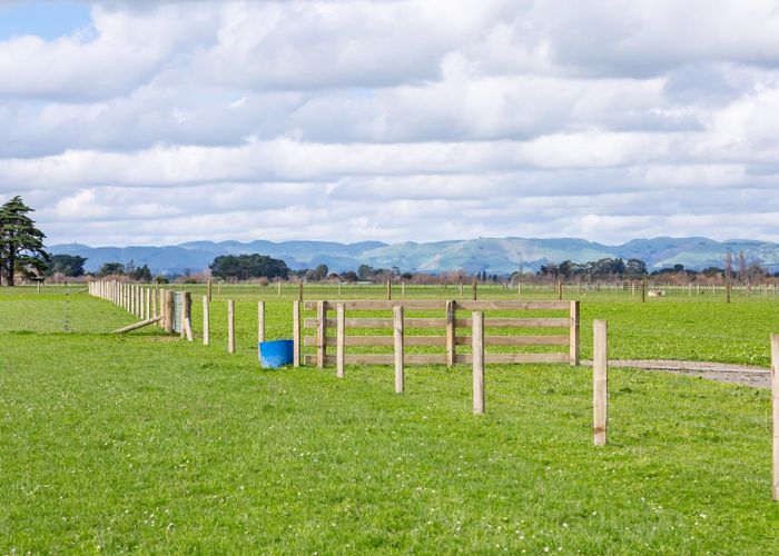  at 156 Haringa Road, Carrington