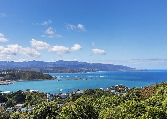  at 65 Buckley Road, Southgate, Wellington, Wellington