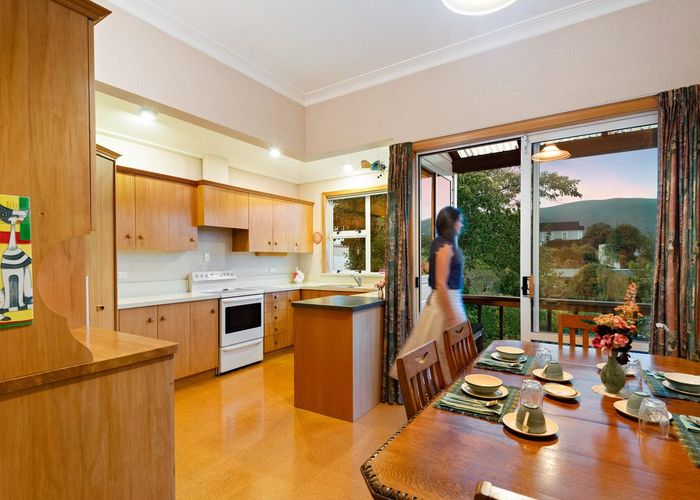  at 17 Brownville Crescent, Maori Hill, Dunedin